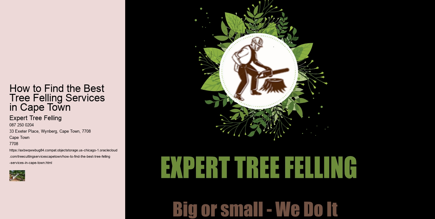 How to Find the Best Tree Felling Services in Cape Town 
