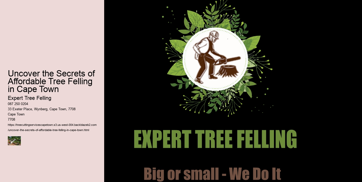 Uncover the Secrets of Affordable Tree Felling in Cape Town 