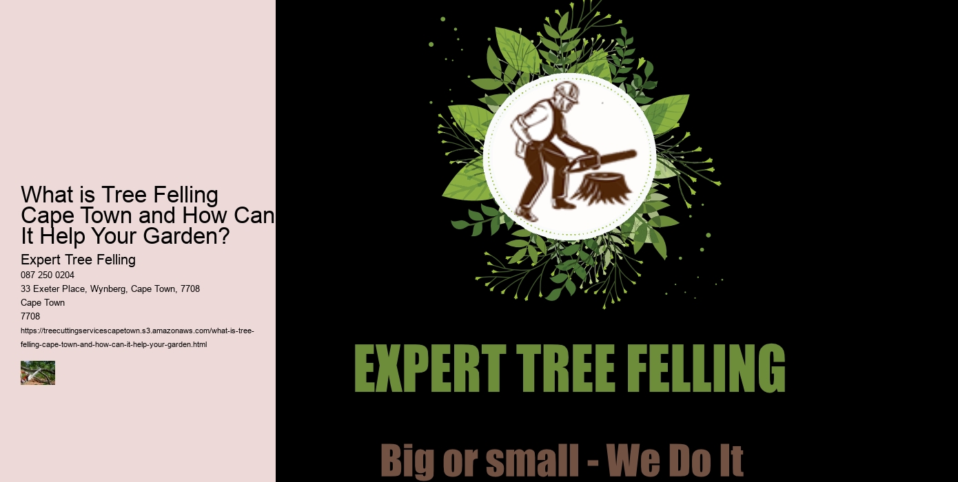 What is Tree Felling Cape Town and How Can It Help Your Garden? 